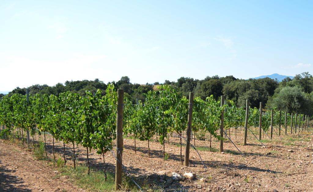 Tenuta Di Maro Sticciano Экстерьер фото